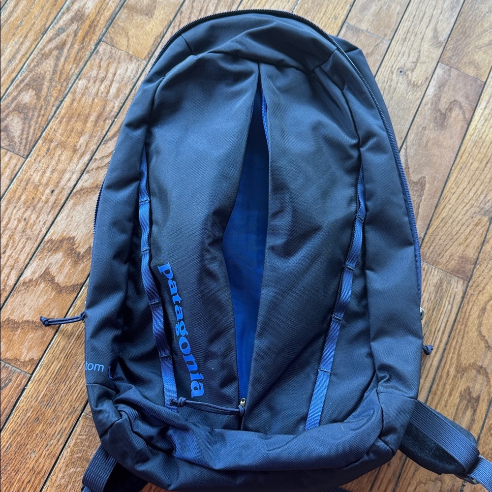 Patagonia Black and Blue Backpack